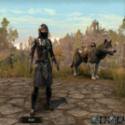 Elder Scrolls Online