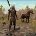 Elder Scrolls Online