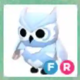 Nieve owl FR adopt me 0