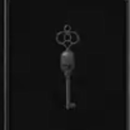Skull key x5- Fast Delivery 1min 0