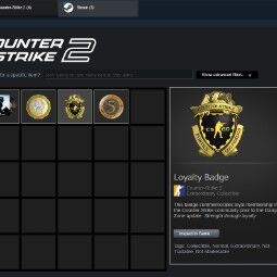 [Prime ON| cs2 1.4 k idle hrs , 3 Medals | 6 lvl steam | no 5$ limit | Cheap Price 0