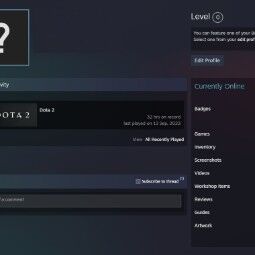 Dota 2 old account | 32 hrs played | Steam reg 6 may 2017 0