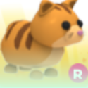 Items