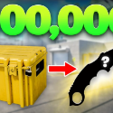 Case Paradise