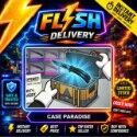 Case Paradise