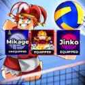 Volleyball Legends