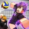 Volleyball Legends