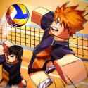 Volleyball Legends