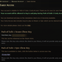 Path of Exile 2
