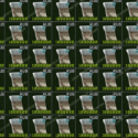 Escape from Tarkov