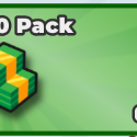 Case Paradise