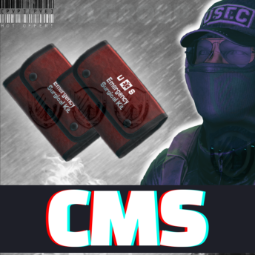 ✴️ CMS - FOUND IN RAID ✴️ 0
