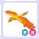 Items