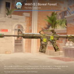 M4A1-S | Boreal Forest (Field-Tested) ⚡Fast Delivery⚡ 0