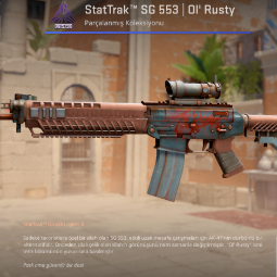 StatTrak™ SG 553 | Ol' Rusty (Field-Tested) ⚡Fast Delivery⚡ 0