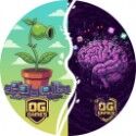 Plants vs Brainrots