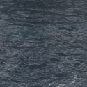 World of Warships
