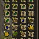 Old School RuneScape