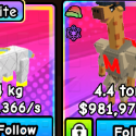 Build a Zoo