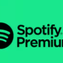 Spotify Subscription