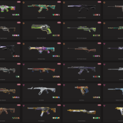 🎯 297 SKINS - AP REGION | 📹 VIDEO: imgur.com/a/qLGhaUA | WITH FIRST EMAIL | VCT LOCK IN, ARCANE 2.0, CHAMPIONS 2022, 2023,2024, KURONAMI  & MANY MORE ! [V674] thumbnail