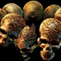 Cinturón de cuero Headhunter (STANDART) no corrompido 0