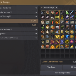[EU Steam Full Access] Guardian lvl 61 + DK lvl 61 | 5 Outfits | 5 pets 3