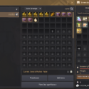 Black Desert Online