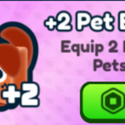 Rebirth Champions: Ultimate - 2+ Pet Equip 0