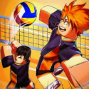 Volleyball Legends