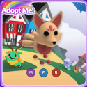 Adopt Me
