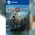 Steam