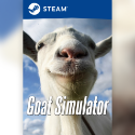 Steam