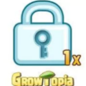Growtopia Locks