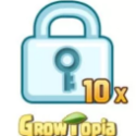 Growtopia Locks