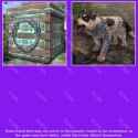 Elder Scrolls Online