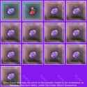 Twitch Drops