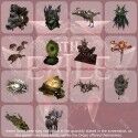 Path of Exile