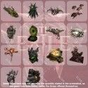 Path of Exile
