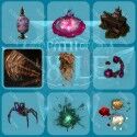 Path of Exile