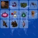 Path of Exile