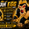 Steal an Egg