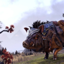 Elder Scrolls Online