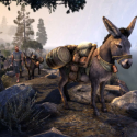 Elder Scrolls Online