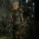 Path of Exile 2