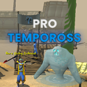 Items