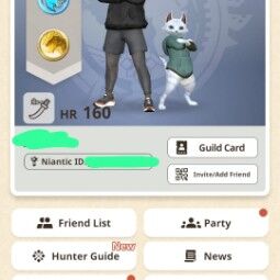 HR 160 ~ Long Sword Mizutsune Grade 10/5 0
