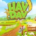 Hay Day