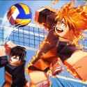 Volleyball Legends