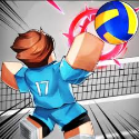 Volleyball Legends